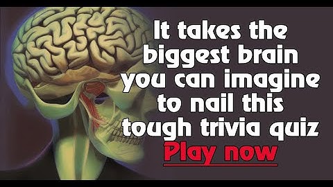 Test Your Knowledge with Our Fun Music Quiz - Share Your Score!