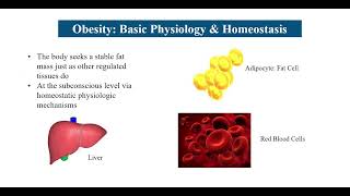 Obesity as a Disease Webinar (Part 1): Weight Bias and Stigma