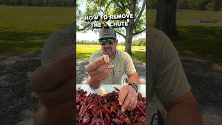 🦞 HOW TO REMOVE THE 💩 FROM YOUR CRAWFISH #louisiana #hacks #cajun