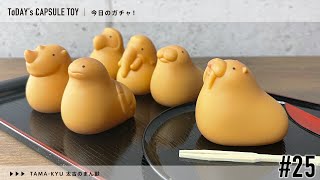 #25 今日のガチャ！（TAMA-KYU 太古のまん獣） / Gashapon capsule toy - Japan