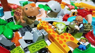 Satisfying Building Blocks ASMR Marble Run JURASSIC WORLD Dinosaur & other animals #219 - live 11