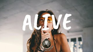 Download Lagu แปลเพลง Alive - Krewella (Lyrics Video) MP3