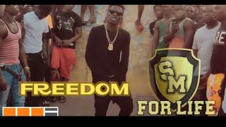 SHATTA WALE FREEDOM CLIP OFFICIAL by DIRO DANCE CREW (Ex. DIZARO DANCERS)