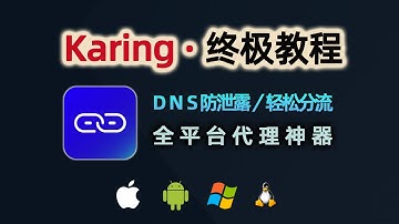 告别DNS泄露！Karing终极指南：配置、DNS、分流、链式代理全讲明白！这可能是全网最详细教程了 |开源代理软件 支持草果安卓PC！