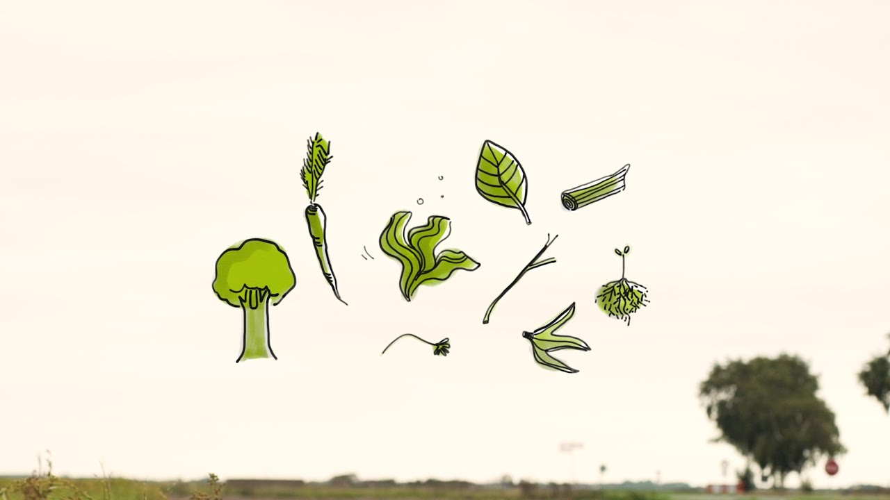 Документальный фильм BLOOM о биоэкономике