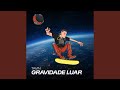 Gravidade luar