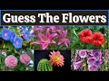 Guess The FLOWER By Image Quiz | Flower Quiz