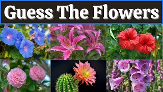 Guess The FLOWER By Image Quiz | Flower Quiz screenshot 4