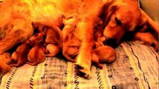 MVI_0473.MOV