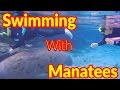 Full Time RV Living | Swimming With Manatees | Crystal River, FL | S2 EP046