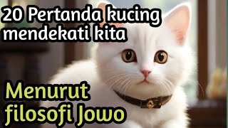 Kucing#20 pertanda apabila kucing mendekat pada kita,menurut filosofi JAWA