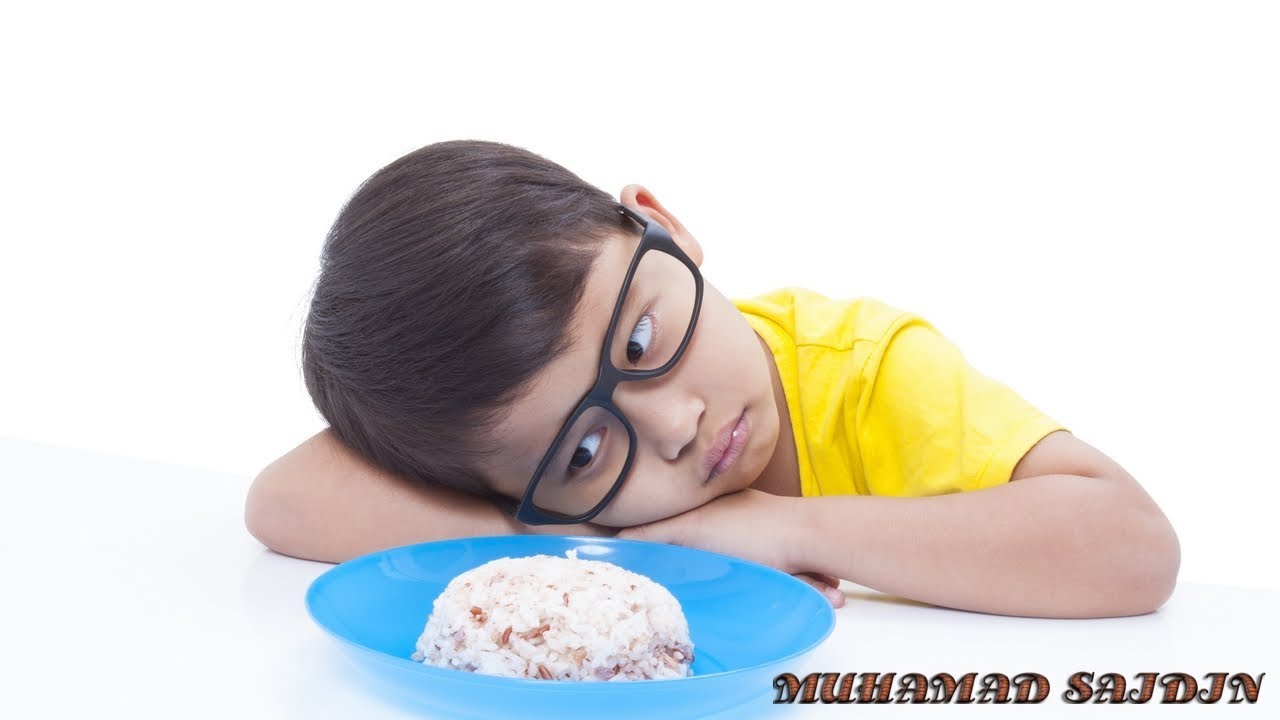 CARA ALAMI MENGATASI ANAK SUSAH MAKAN