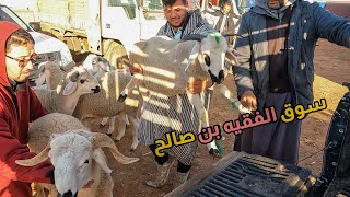 حصري من قلب سوق الفقيه بن صالح مع ثمن الخروف الكسابي (الثمن🔥)