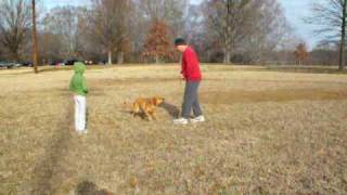 My Sister Burping While We Are Walking Our Dog