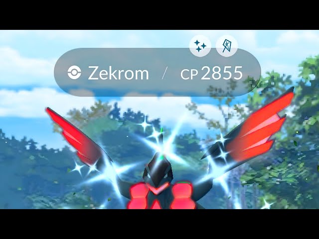 ZEKROM * in Pokémon GO + NEW Events and Shinies! 