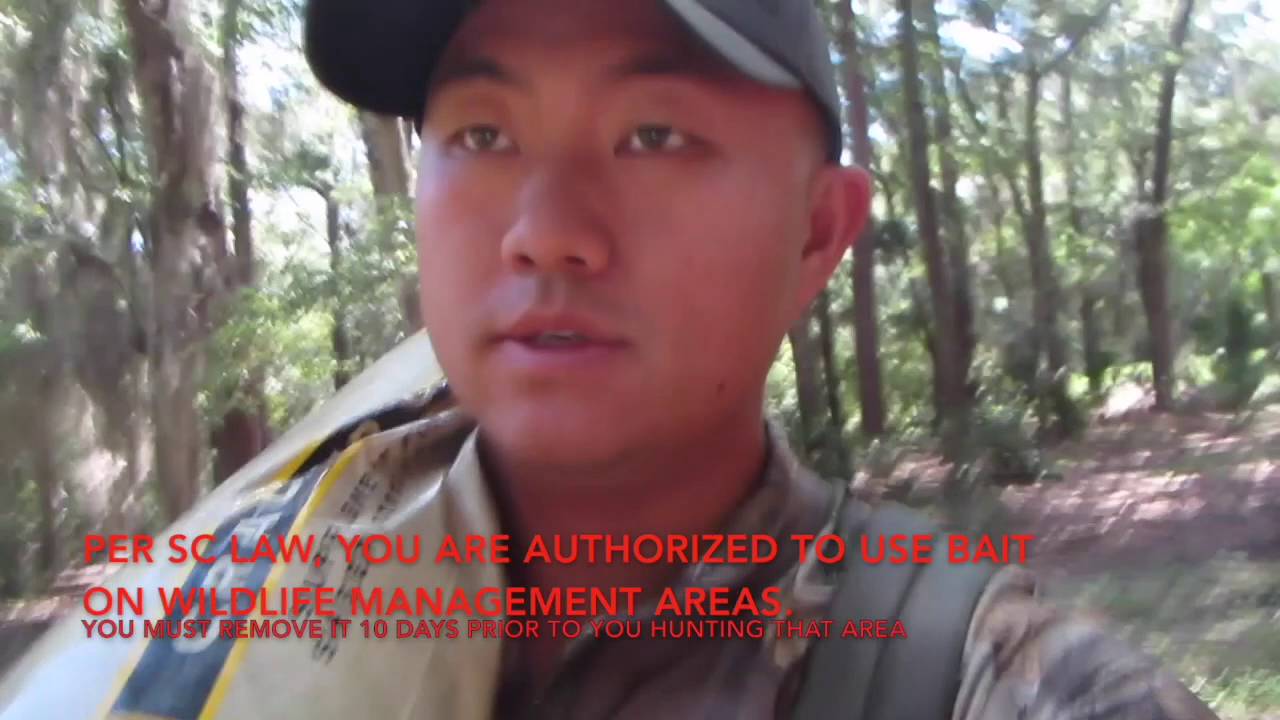 S1E2 hog hunting ft. Stewart and scouting for deer in South Carolina