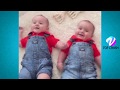  the best vine crush cute baby swimming try to not lough