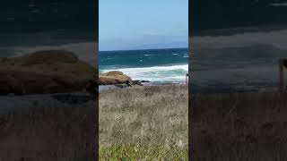 Glass beach-fort bragg, california (5 ...