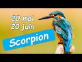  scorpion   lecture 20 mai au 20 juin