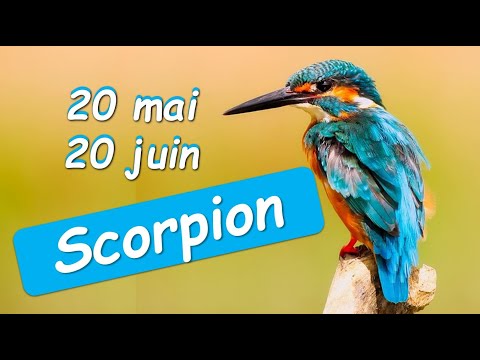 ♏️ SCORPION 🦂 - Lecture 20 mai au 20 juin