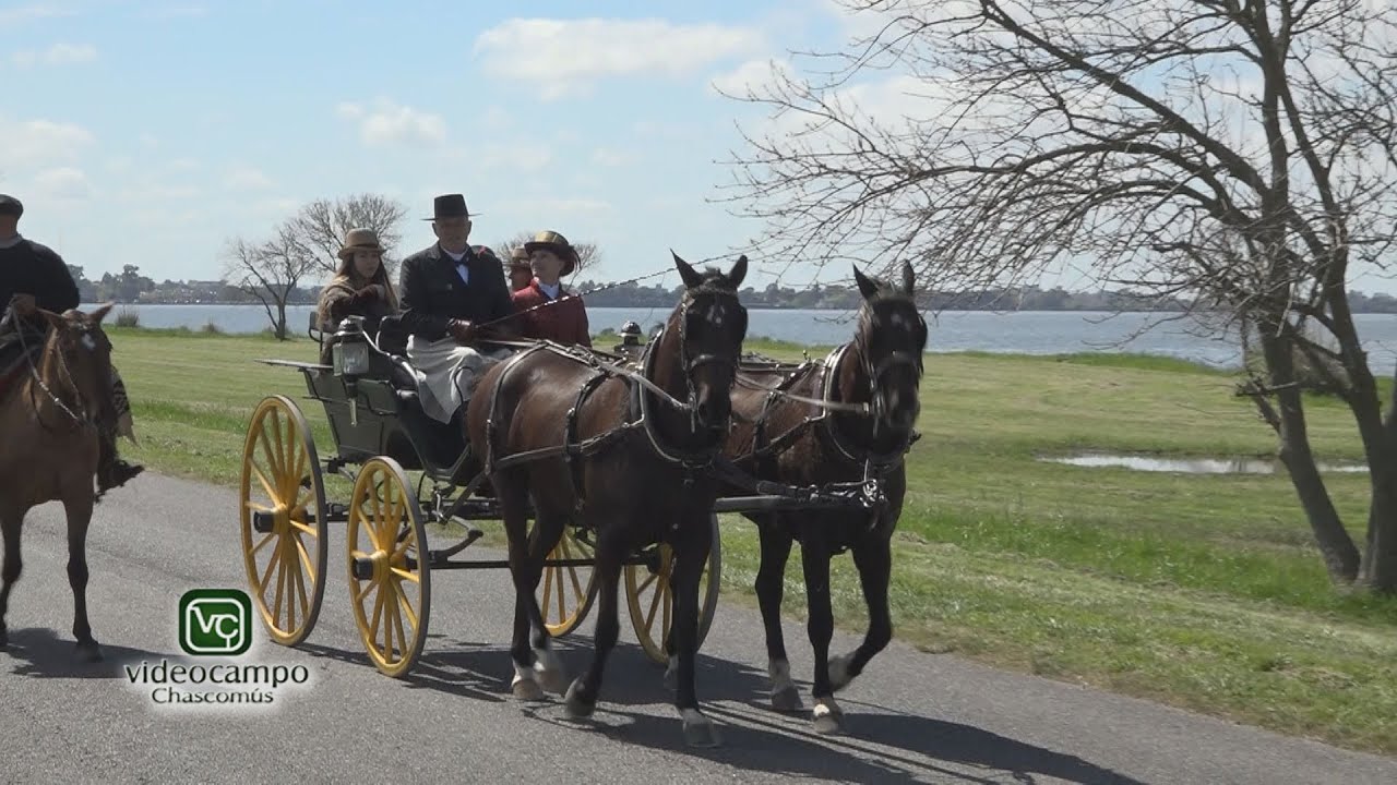 Encuentro del Caballo y el Carruaje 2025
