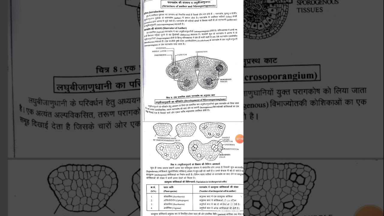 Structure of Anther (B.Sc. part  III )