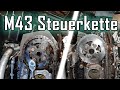 BMW M43 Steuerkette wechseln!