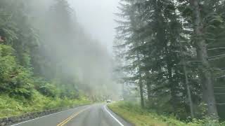 Driving through the fog to Mt. Rainier National Park