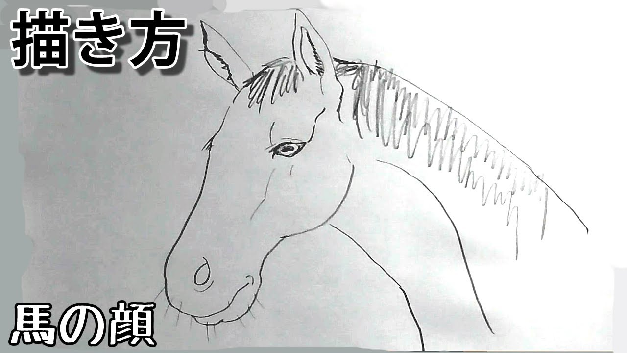 馬の描き方 How To Draw A Horse 簡単 ２分で描く馬の顔 Youtube