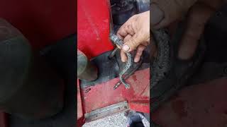 IMT 549 zamalo da radim motor🤔🤔🤔🤔