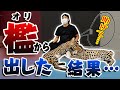 獰猛な大型猫サーバルキャットを檻から出してみたらまさかの展開に…？！