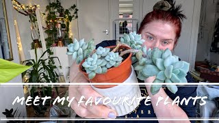 Help me sort my life out! VLOG Episode 5 | LiveitlikeLauren
