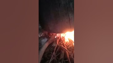 bếp củi luộc bánh trung