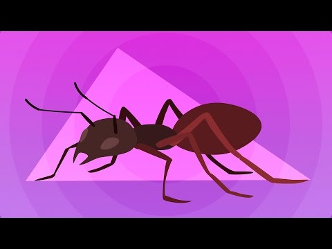 Video: Atšķirība Starp Apache Ant Un Maven