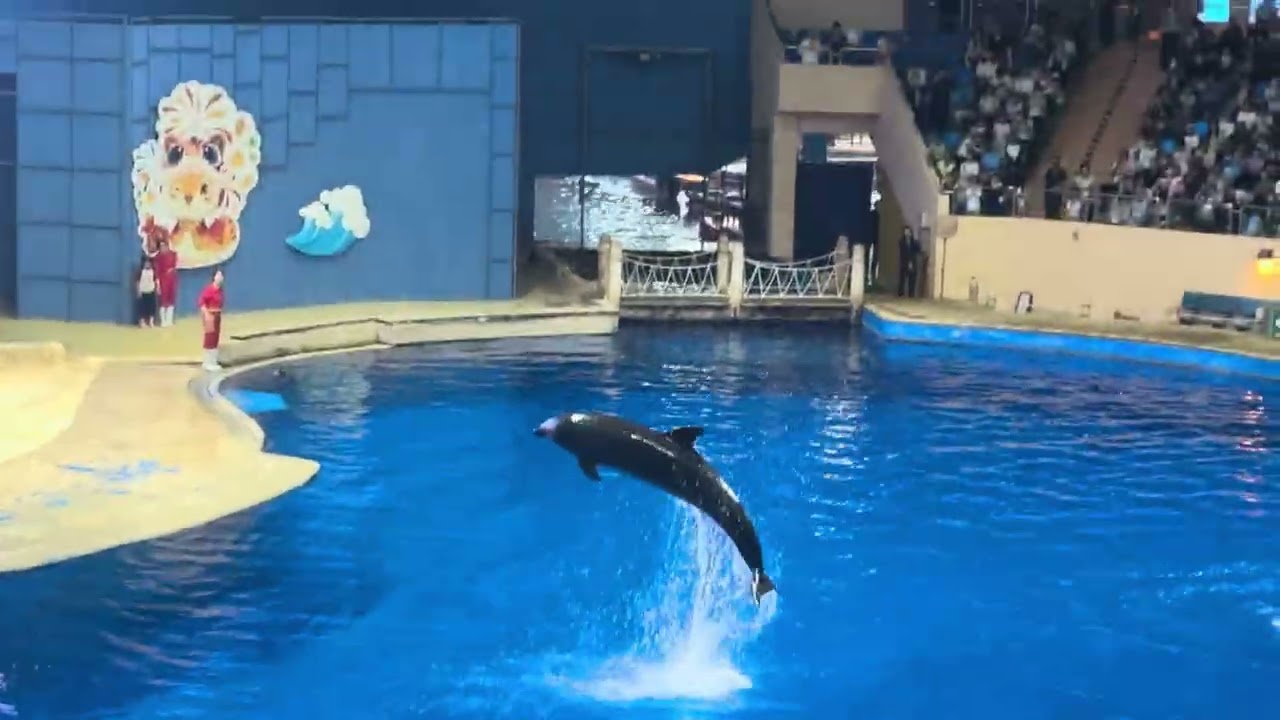 北京海底世界 part1 