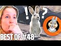 What happened to Thumper? | BEST OF #48