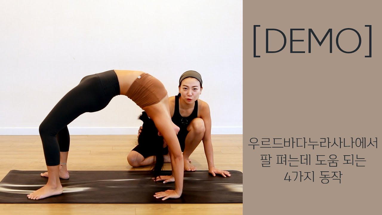 우르드바다누라사나에서 팔 펴는데 도움 되는 4가지 동작