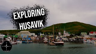 WHALE WATCHING (ICELAND DAY 5 - VAN LIFE)