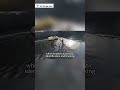 Unmanned vessel surface garbage ROS tracking and identification