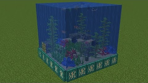 mini ocean biome