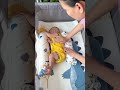 This Baby Comfort Pillow Helps Babies Feel Safe and Relaxed#babycare #shorts #momlife