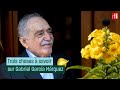 Trois choses à savoir sur Gabriel García Márquez • RFI