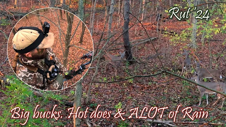 Finding The SPOT within the Spot - Illinois Public Land Rut Hunt