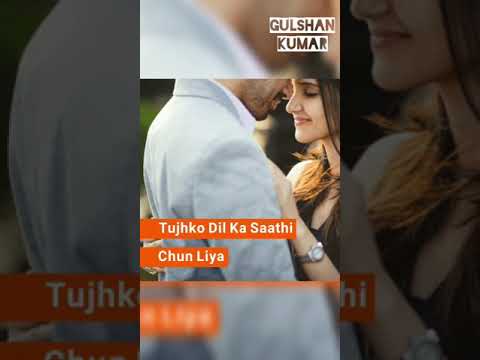 tumne-chahe-kaha-na-full-screen-whatsapp-status-dil-maange-more