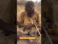 Grandfather Shangebe Preparing Bow And Arrow For Hunting Africanculture Hunter Hadzabetribe