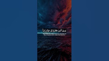 الشيخ عاصم اللحيدان تلاوة جميلة من سورة الزمر #اكسبلور #shots #عاصم_اللحيدان #قرآن #سورة_الزمر