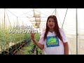 MANa: Bataan Hydroponics Farm Part 1