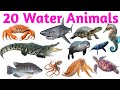 Learn Water Animals Names: Fish, Dolphin, Octopus, Crab, Jellyfish with Sound #WaterAnimals