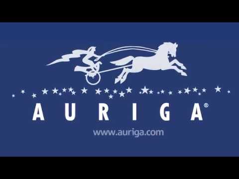 Software Development for Medical Devices | Auriga - video from Auriga