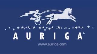 Software Development for Medical Devices | Auriga